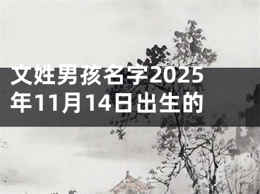 文姓男孩名字2025年11月14日出生的