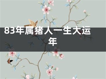 83年属猪人一生大运年