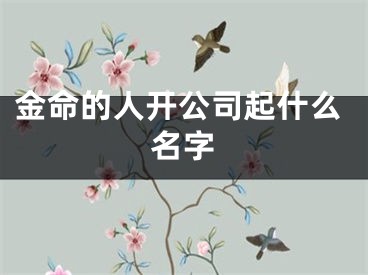 金命的人开公司起什么名字