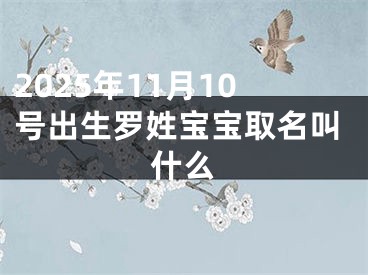 2025年11月10号出生罗姓宝宝取名叫什么
