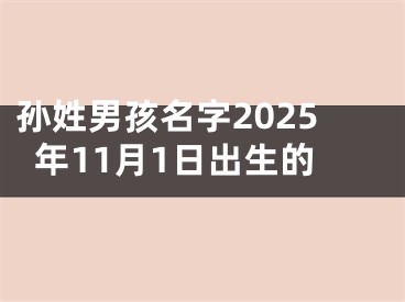 孙姓男孩名字2025年11月1日出生的