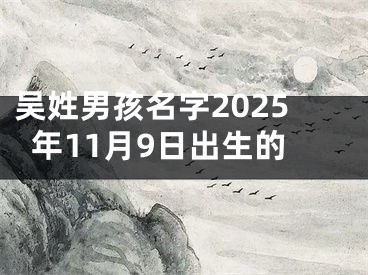吴姓男孩名字2025年11月9日出生的