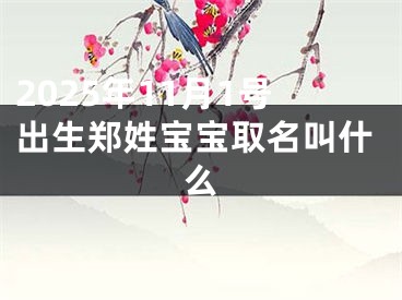2025年11月1号出生郑姓宝宝取名叫什么