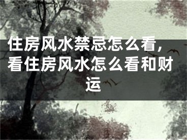 住房风水禁忌怎么看,看住房风水怎么看和财运
