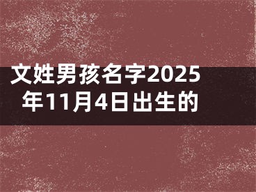文姓男孩名字2025年11月4日出生的