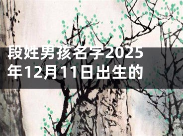 段姓男孩名字2025年12月11日出生的