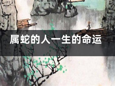 属蛇的人一生的命运