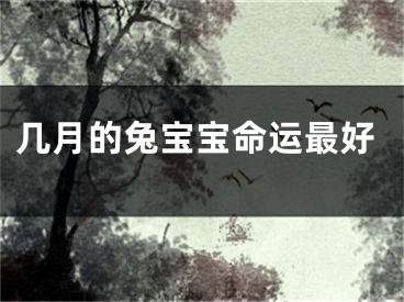 几月的兔宝宝命运最好