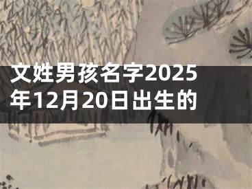 文姓男孩名字2025年12月20日出生的