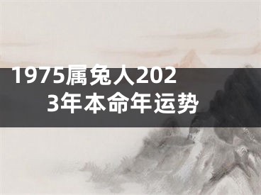 1975属兔人2023年本命年运势