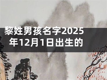 黎姓男孩名字2025年12月1日出生的