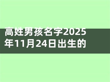 高姓男孩名字2025年11月24日出生的