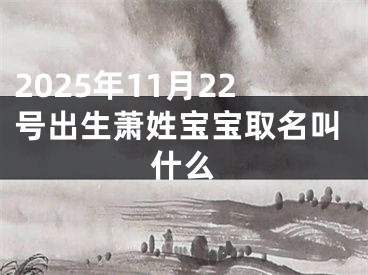 2025年11月22号出生萧姓宝宝取名叫什么