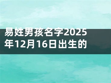 易姓男孩名字2025年12月16日出生的