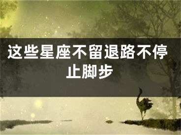 这些星座不留退路不停止脚步