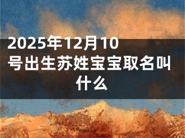 2025年12月10号出生苏姓宝宝取名叫什么