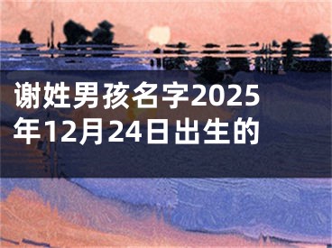 谢姓男孩名字2025年12月24日出生的