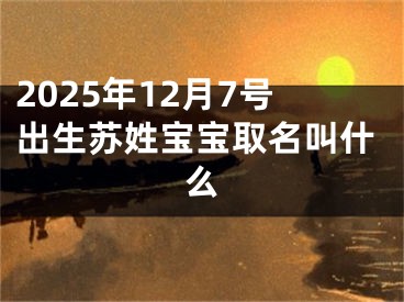 2025年12月7号出生苏姓宝宝取名叫什么