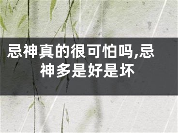 忌神真的很可怕吗,忌神多是好是坏