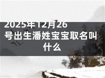 2025年12月26号出生潘姓宝宝取名叫什么