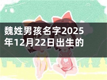 魏姓男孩名字2025年12月22日出生的