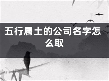 五行属土的公司名字怎么取
