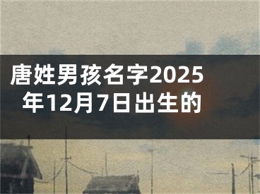 唐姓男孩名字2025年12月7日出生的