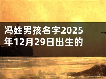 冯姓男孩名字2025年12月29日出生的