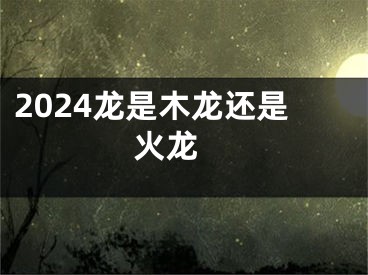 2024龙是木龙还是火龙 