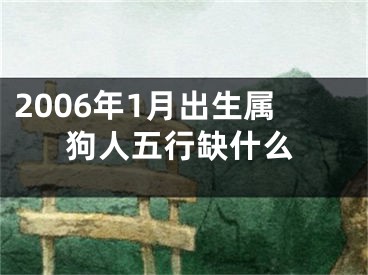 2006年1月出生属狗人五行缺什么
