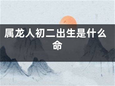 属龙人初二出生是什么命