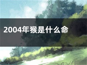 2004年猴是什么命