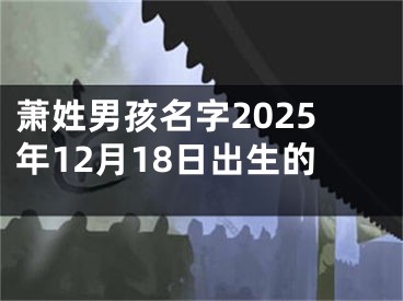 萧姓男孩名字2025年12月18日出生的