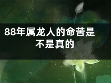 88年属龙人的命苦是不是真的