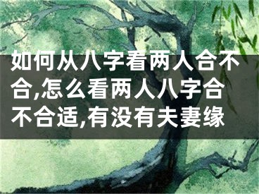 如何从八字看两人合不合,怎么看两人八字合不合适,有没有夫妻缘