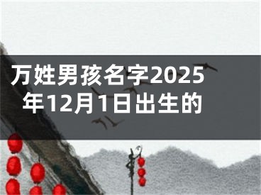 万姓男孩名字2025年12月1日出生的