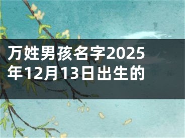 万姓男孩名字2025年12月13日出生的