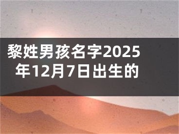 黎姓男孩名字2025年12月7日出生的