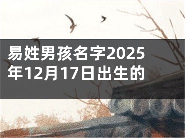易姓男孩名字2025年12月17日出生的