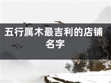五行属木最吉利的店铺名字