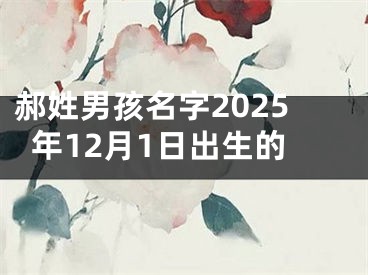 郝姓男孩名字2025年12月1日出生的