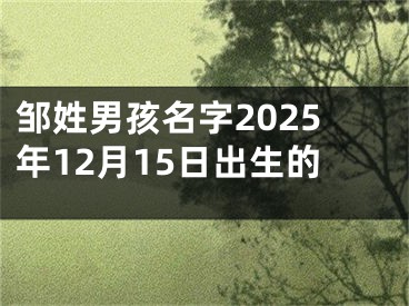 邹姓男孩名字2025年12月15日出生的
