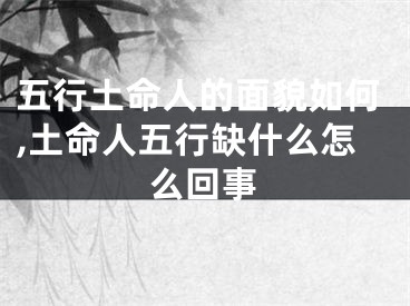 五行土命人的面貌如何,土命人五行缺什么怎么回事
