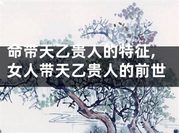 命带天乙贵人的特征,女人带天乙贵人的前世