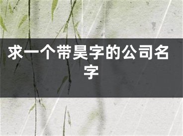 求一个带昊字的公司名字
