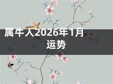 属牛人2026年1月运势