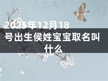 2025年12月18号出生侯姓宝宝取名叫什么