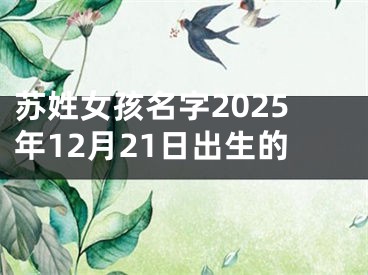 苏姓女孩名字2025年12月21日出生的