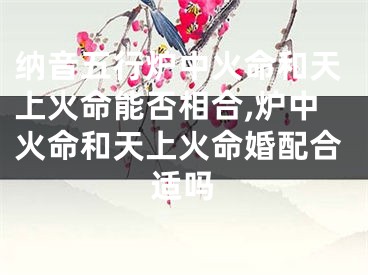 纳音五行炉中火命和天上火命能否相合,炉中火命和天上火命婚配合适吗