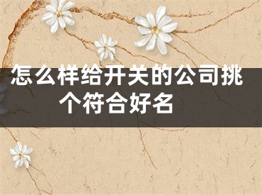 怎么样给开关的公司挑个符合好名 